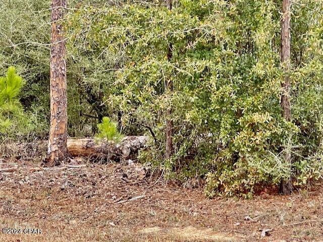 Compass Lake Hills Unit 3 - Land