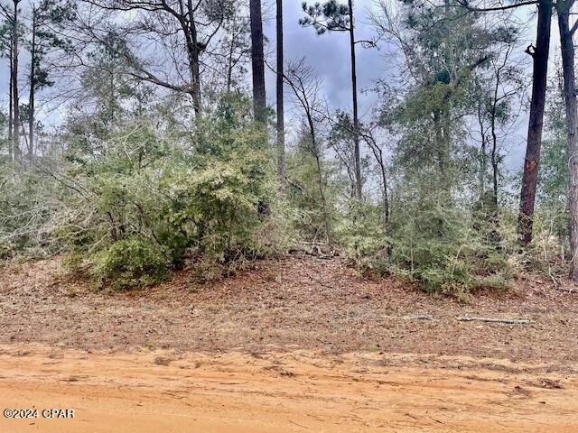 Compass Lake Hills Unit 3 - Land