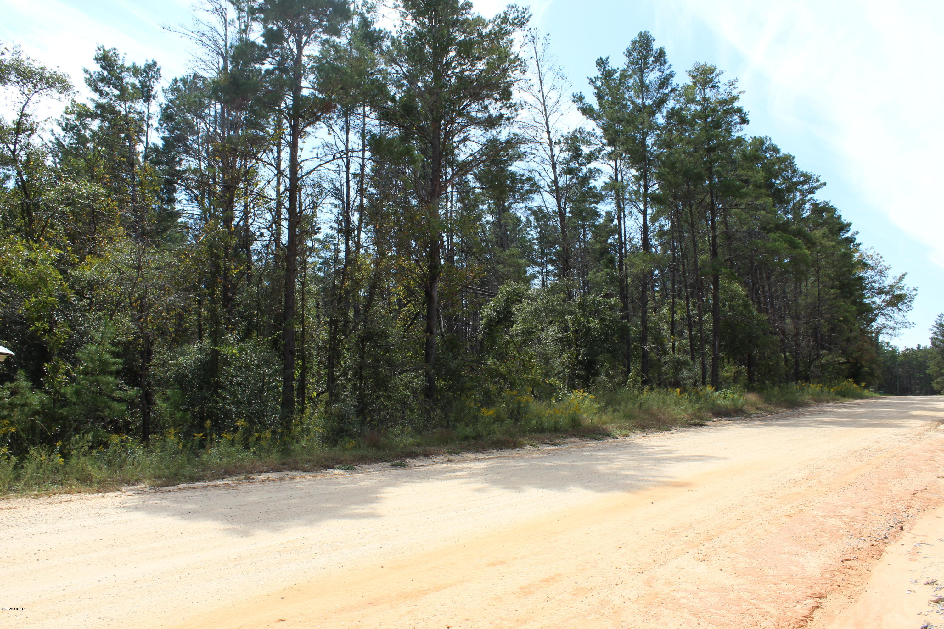 Woodland Meadows - Land