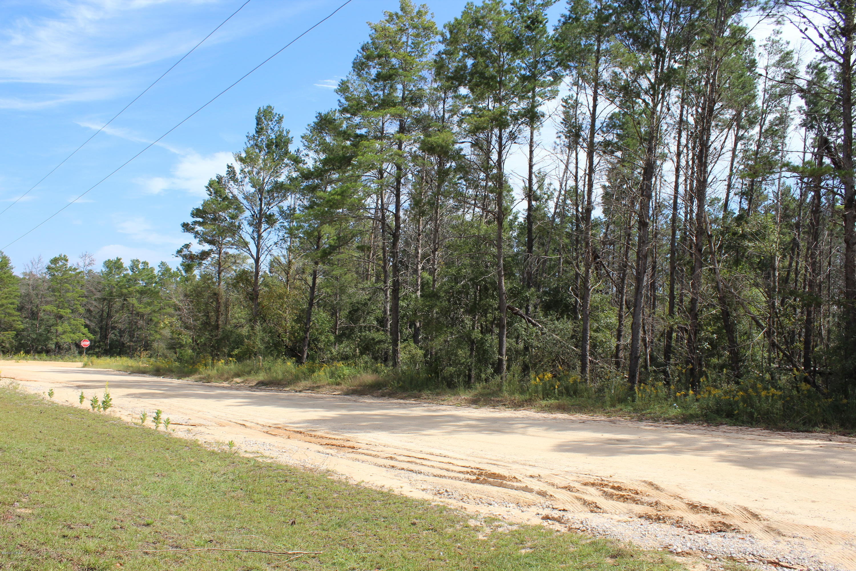 Woodland Meadows - Land