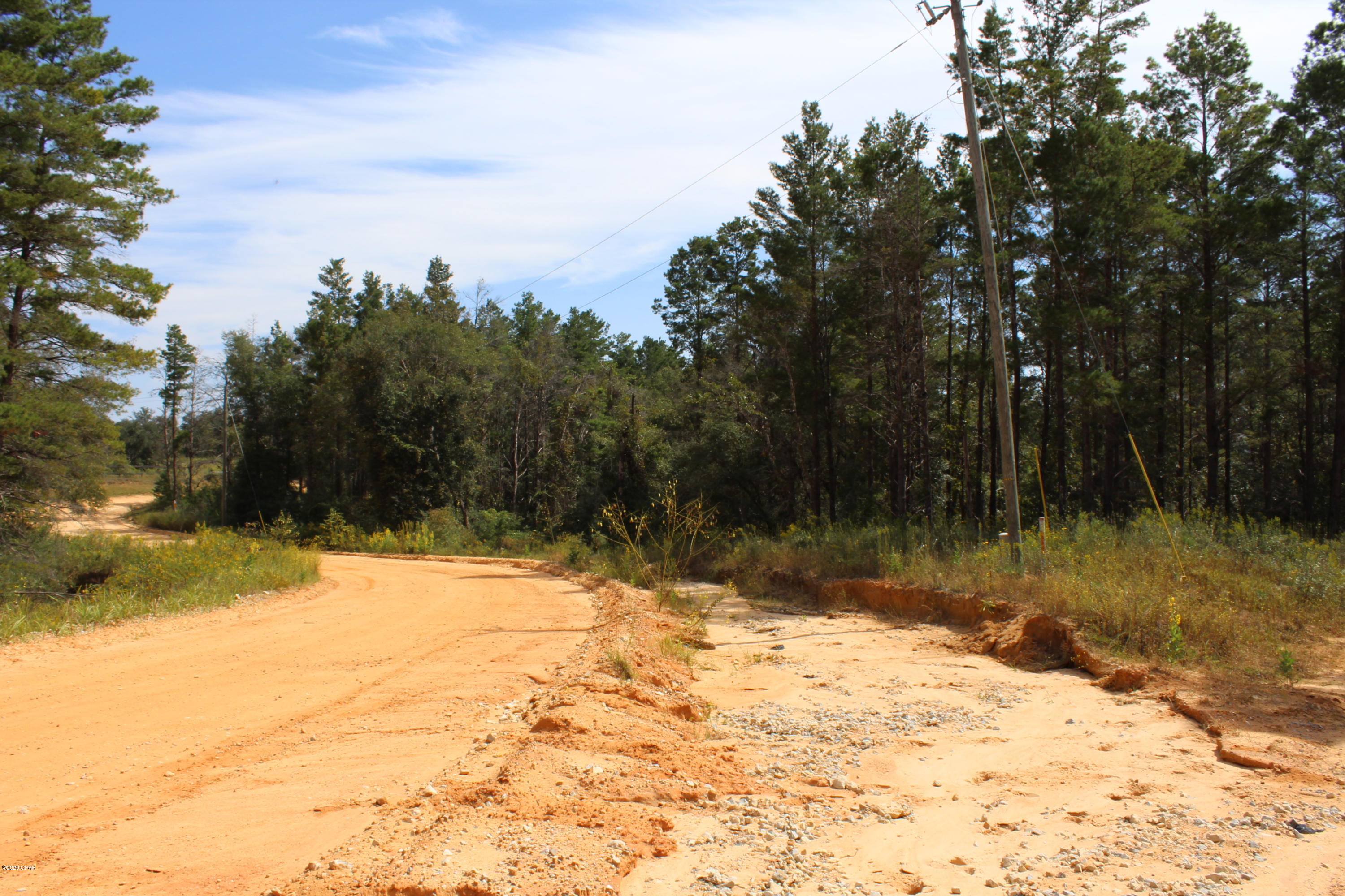 Woodland Meadows - Land