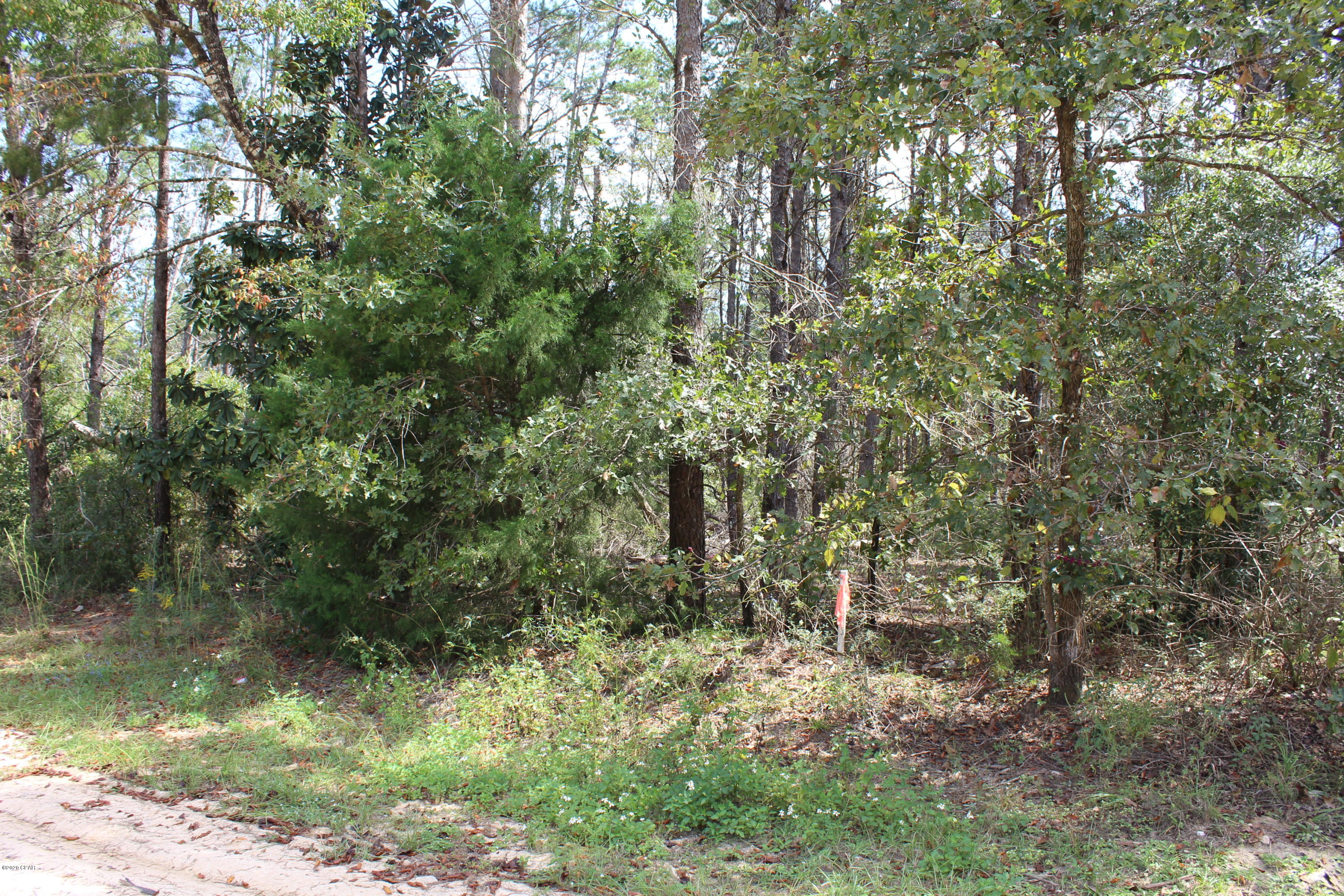 Woodland Meadows - Land