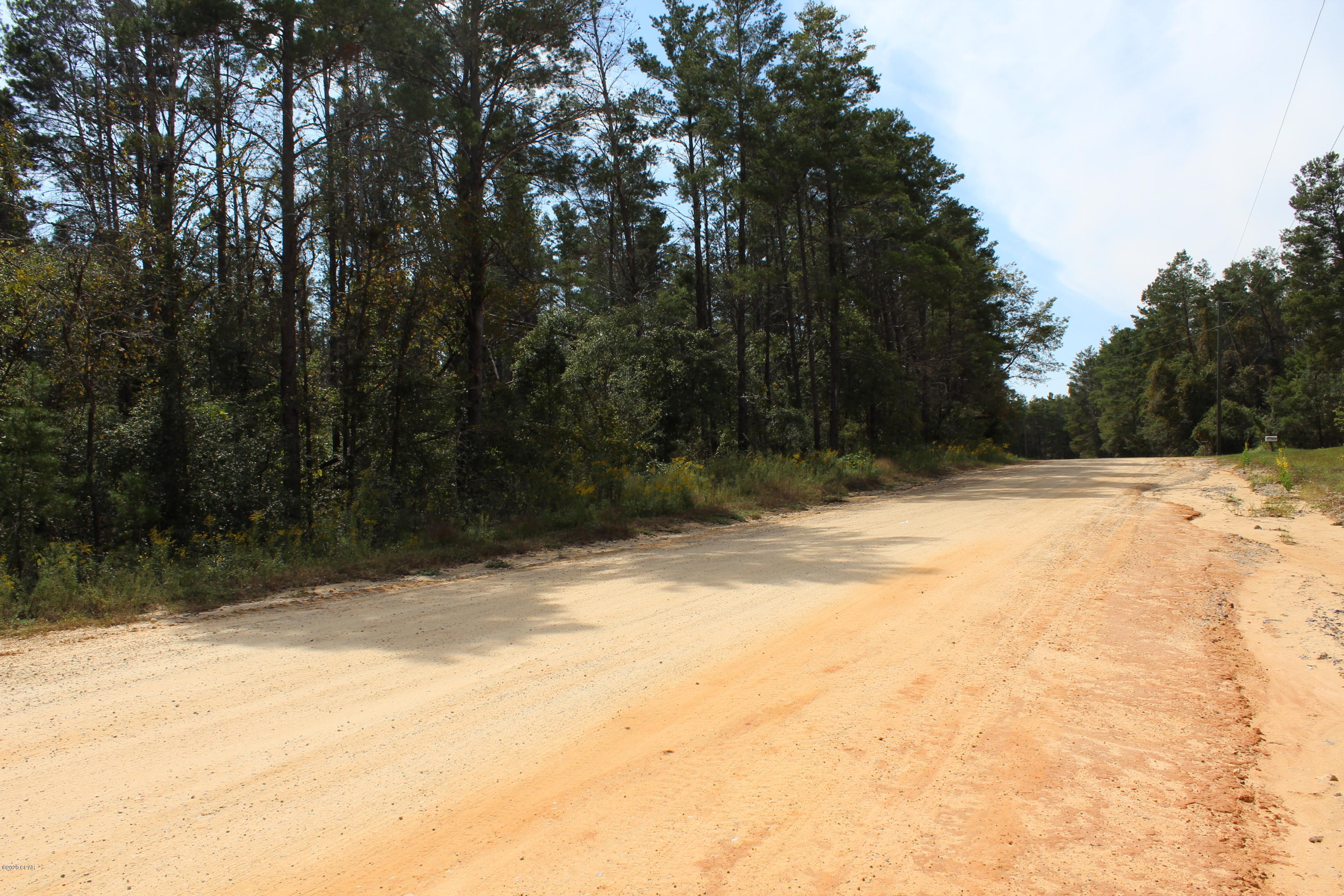 Woodland Meadows - Land