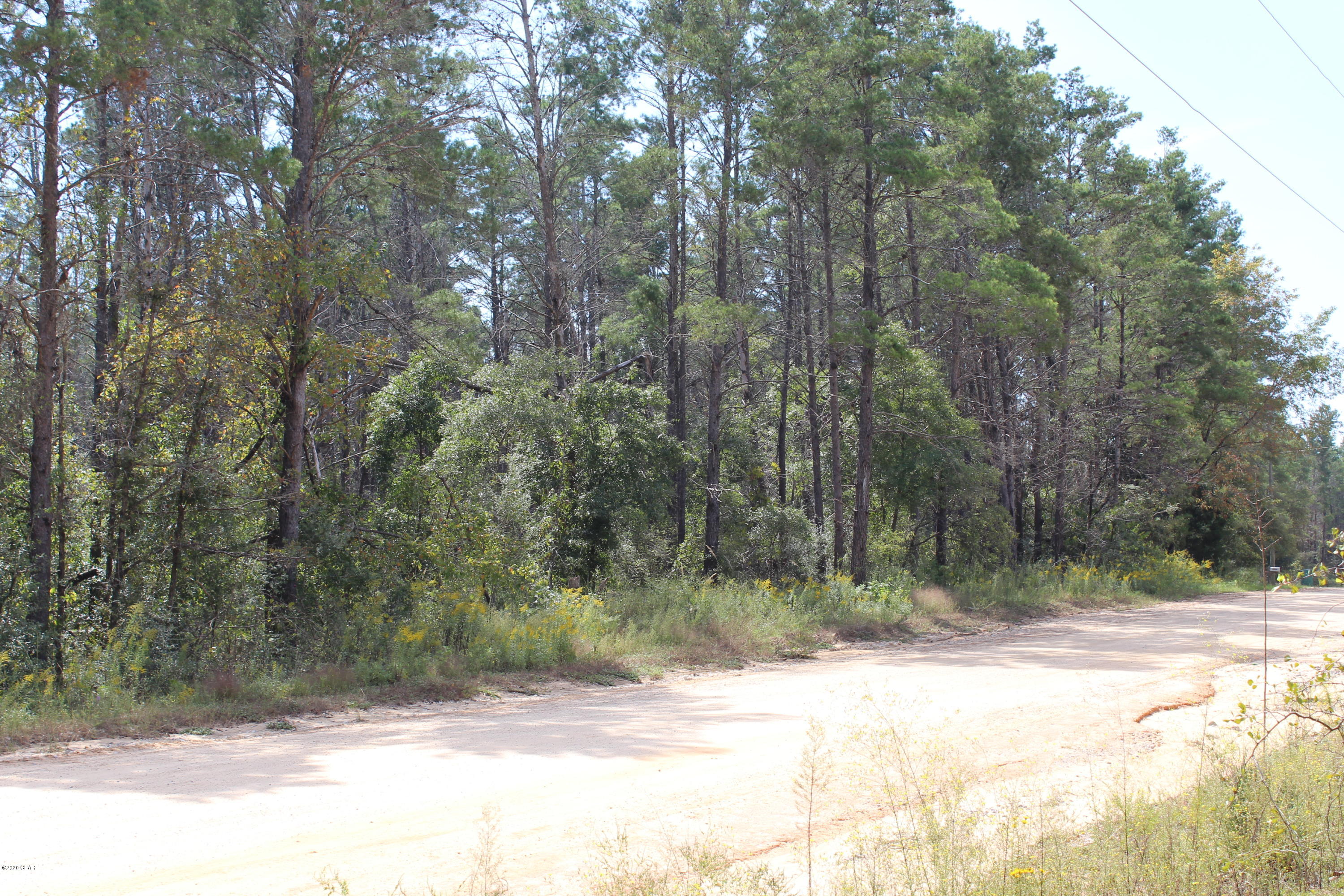 Woodland Meadows - Land