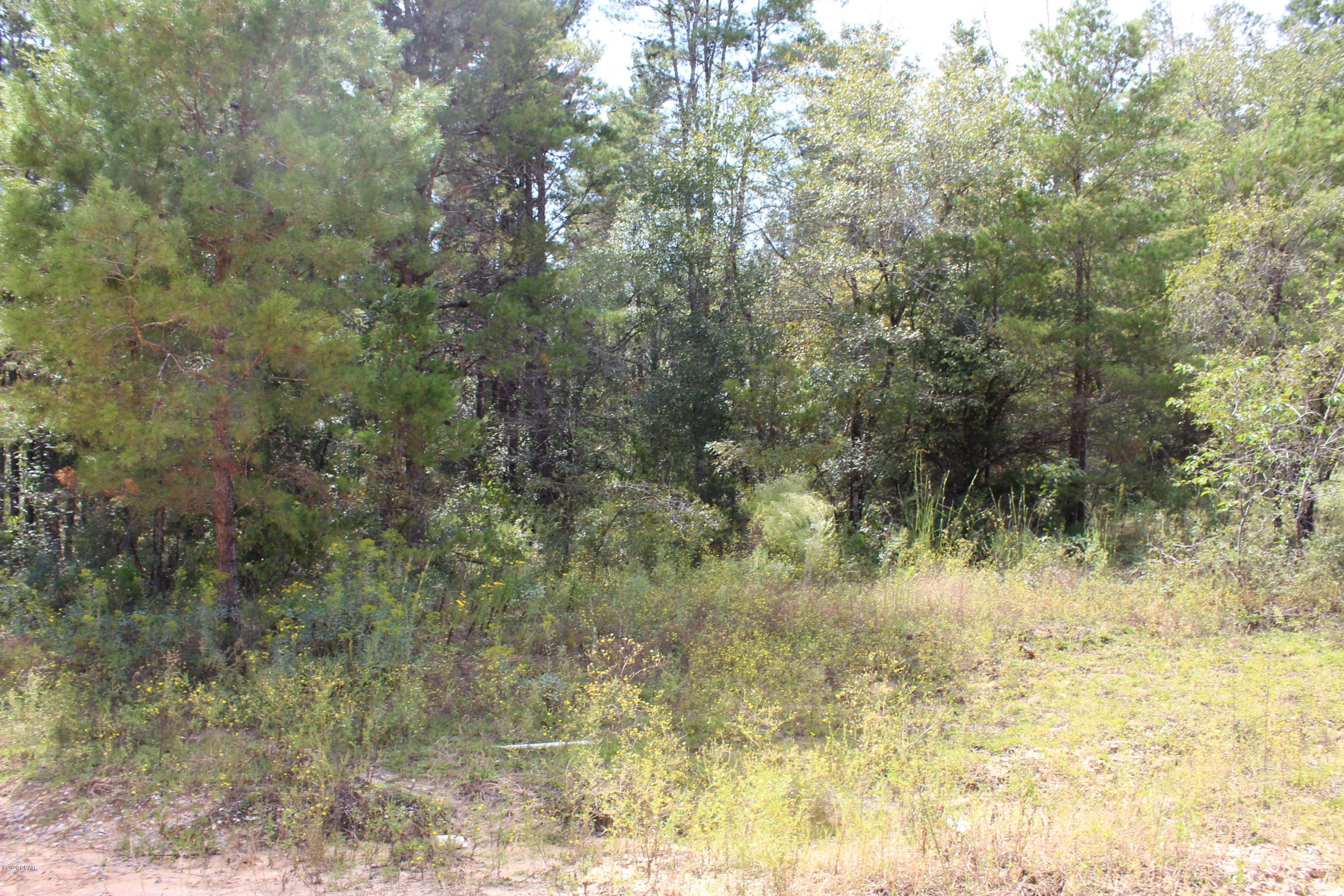 Woodland Meadows - Land