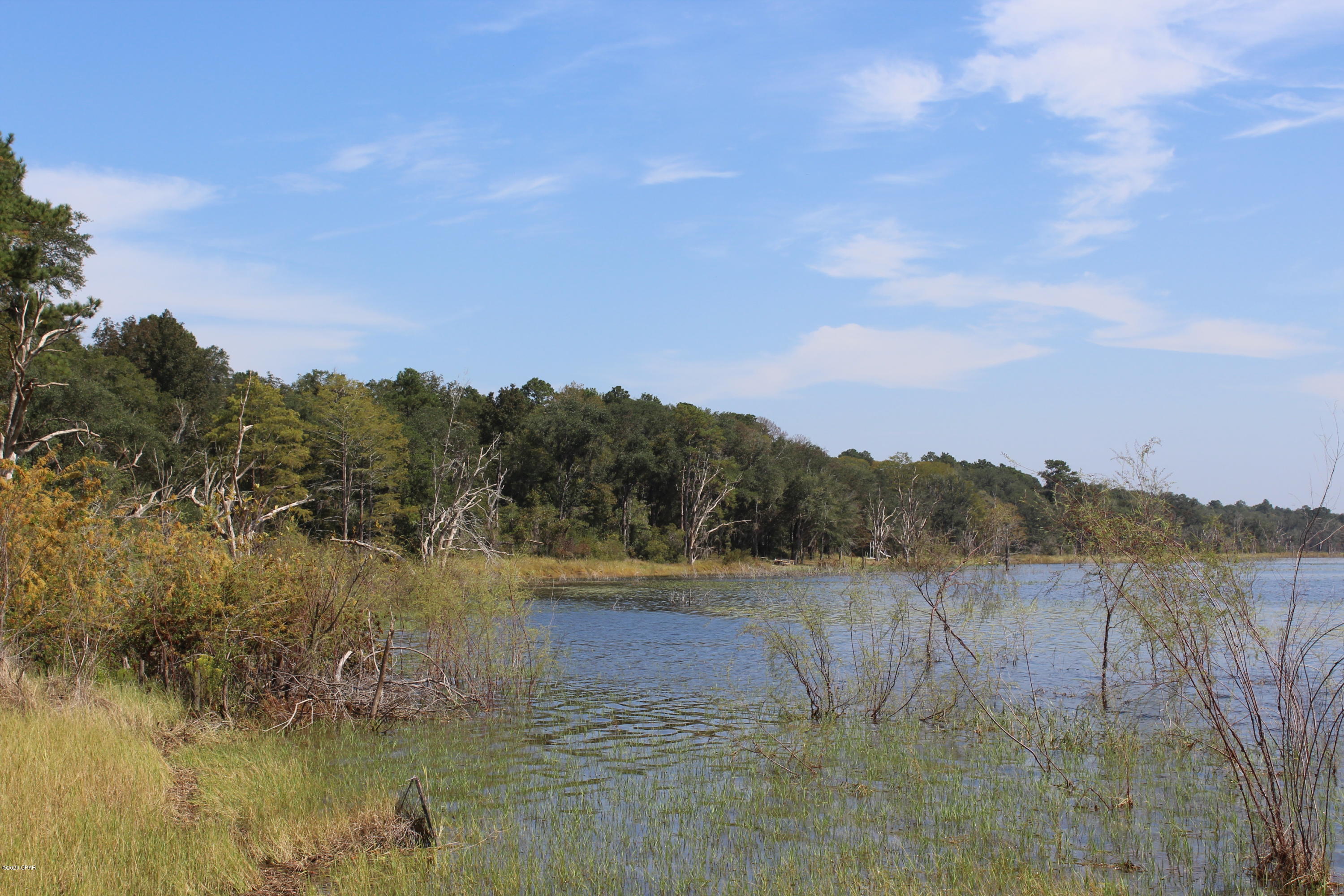Woodland Meadows - Land