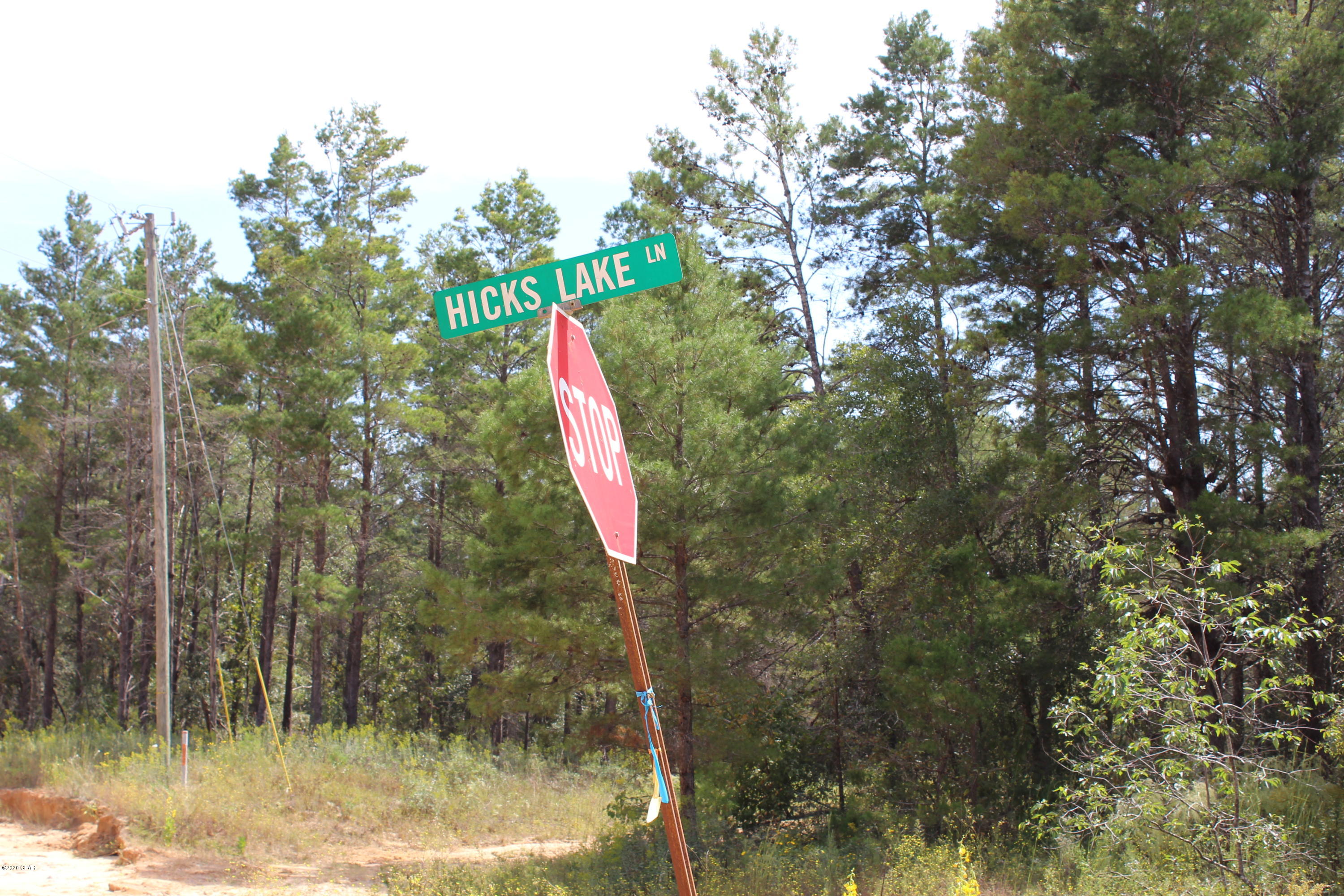 Woodland Meadows - Land