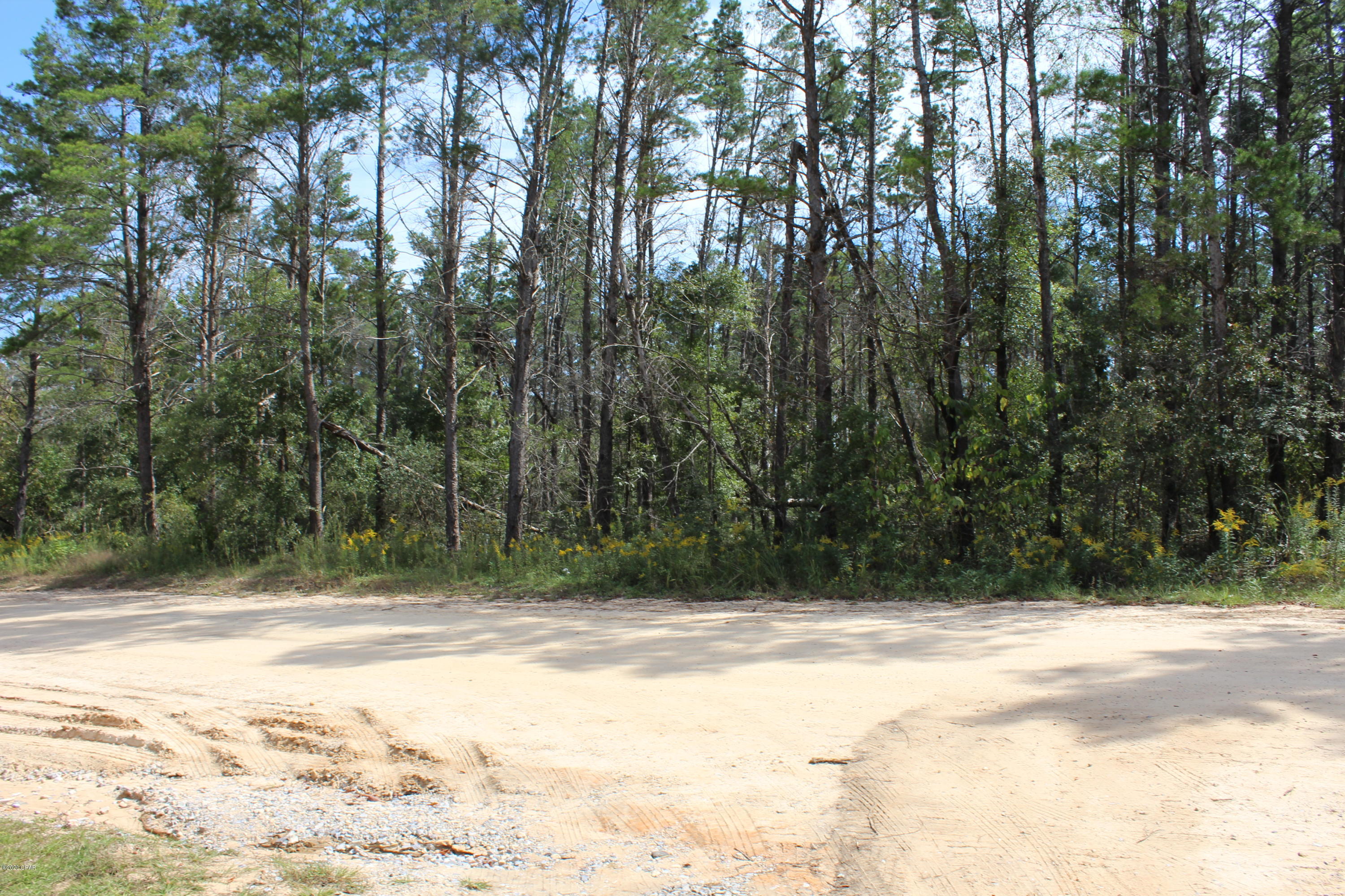 Woodland Meadows - Land