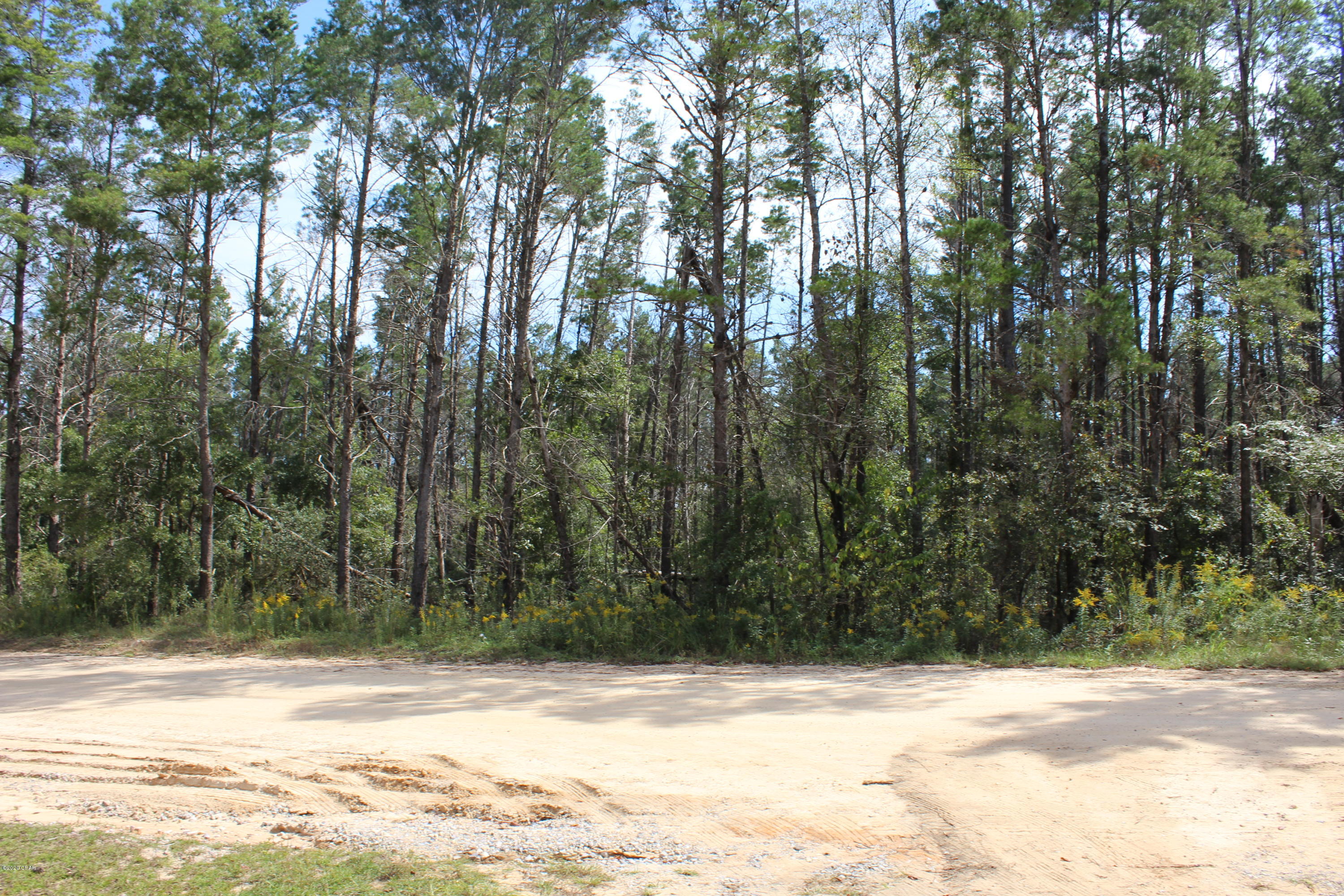 Woodland Meadows - Land