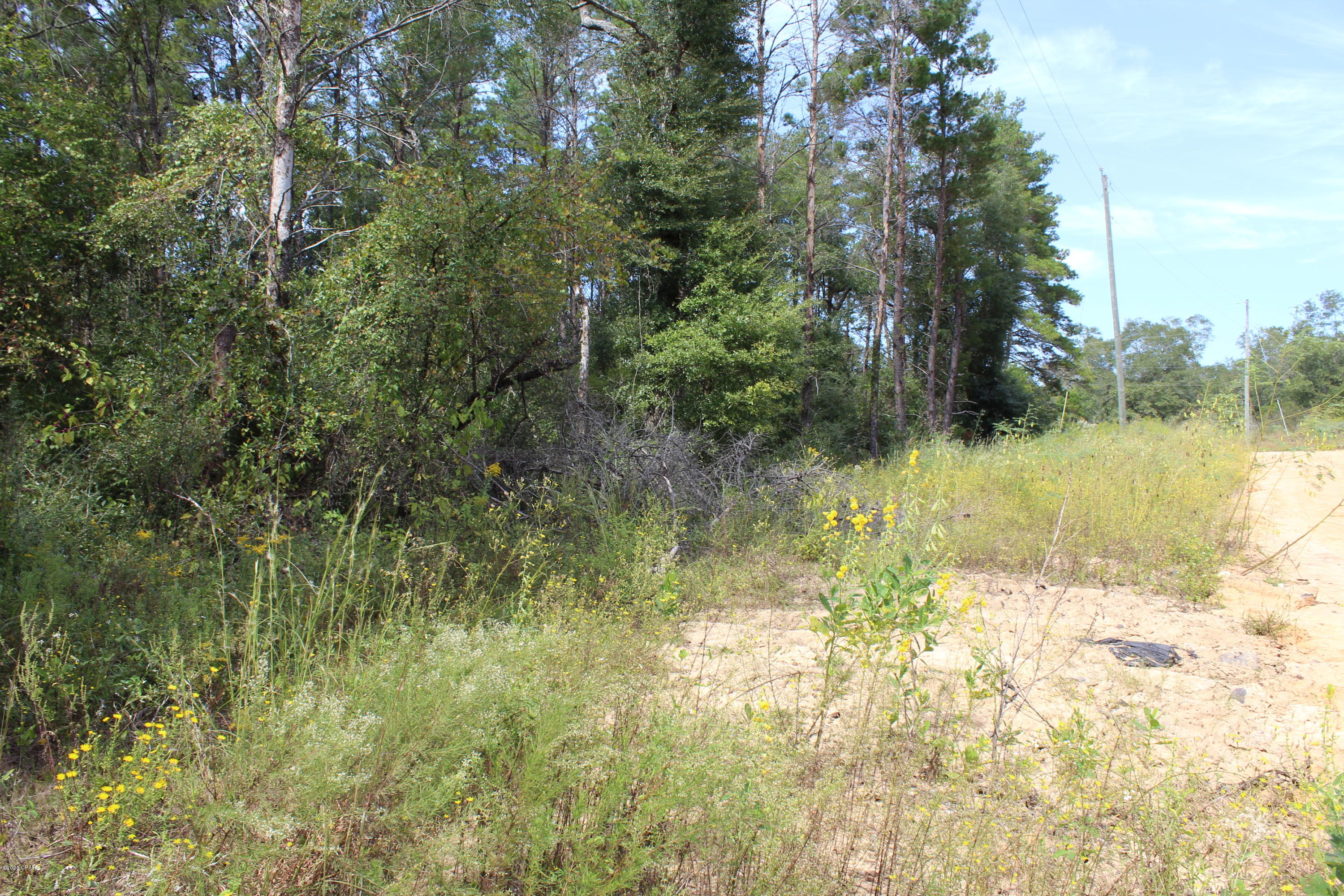 Woodland Meadows - Land