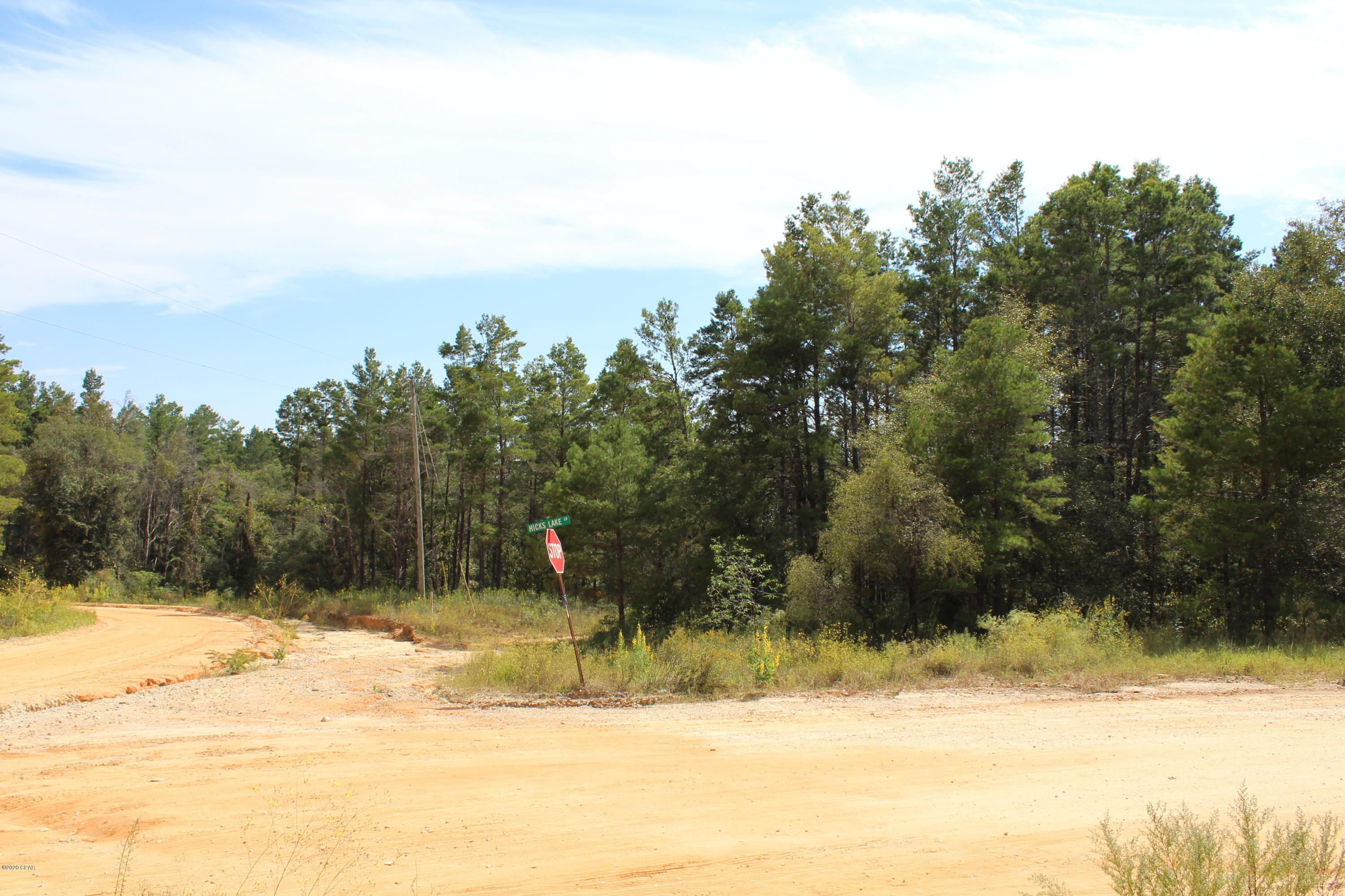 Woodland Meadows - Land