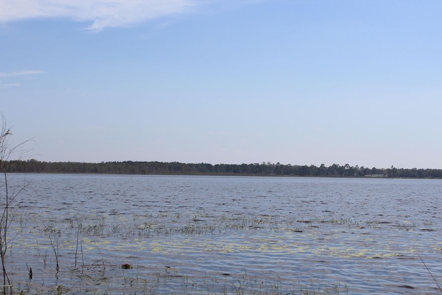 Lakefront Acreage!  Hicks Lake is well known for its fishing, water skiing, and pretty clear water.  A karst lake of approximately 300 acres gives you plenty of room to scoot around on the water.  This property does consist of two parcels, so this listing only shows the one property identification but the total acreage.  Keep in mind that some of the acreage does go out into the lake.   The public boat ramp is just a hop n skip from this parcel.  Features pretty hardwoods and pines,  so plenty of room to carve out your own lakefront oasis.  Go take a look, we won't mind!  Easy access to the Beach, town and schools.