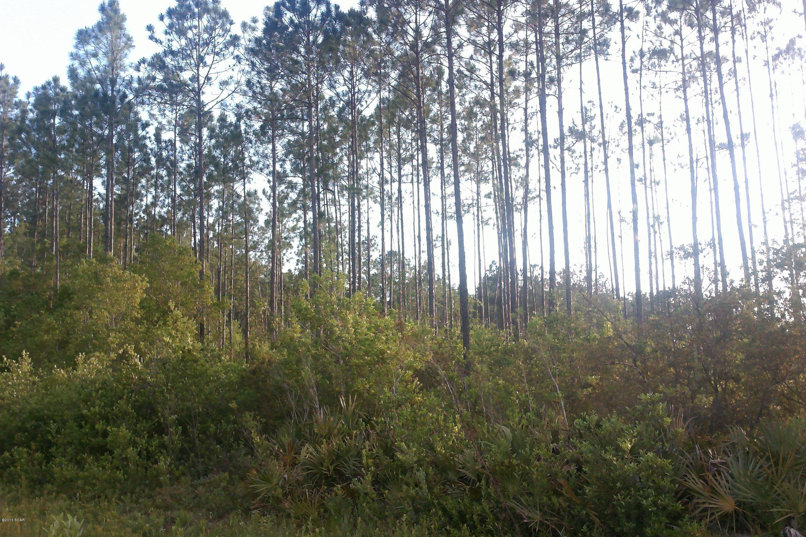 No Named Subdivision - Land