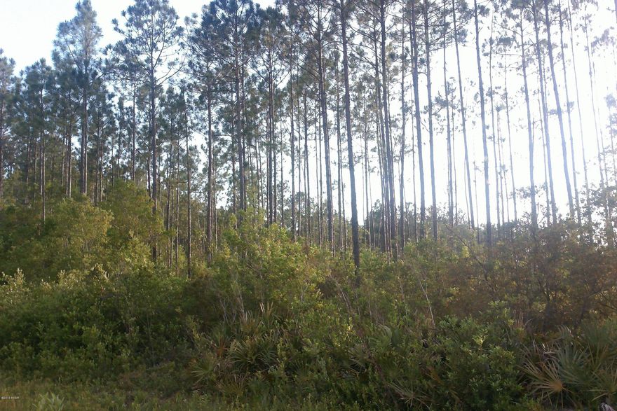 OWNER FINANCING PREFERRED! Minimum 20% down payment. Wooded acreage located on a county maintained road in Fountain close drive to Hwy 20 & Hwy 231. Creek on back west property line running north and south. A portion of the property has been cleared for a homesite.  A recent survey. Planted Pines.