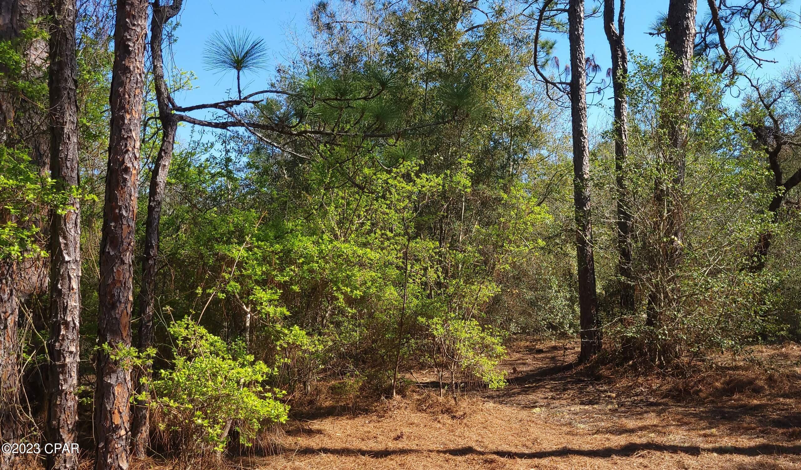 Sunny Hills Unit 1 - Land