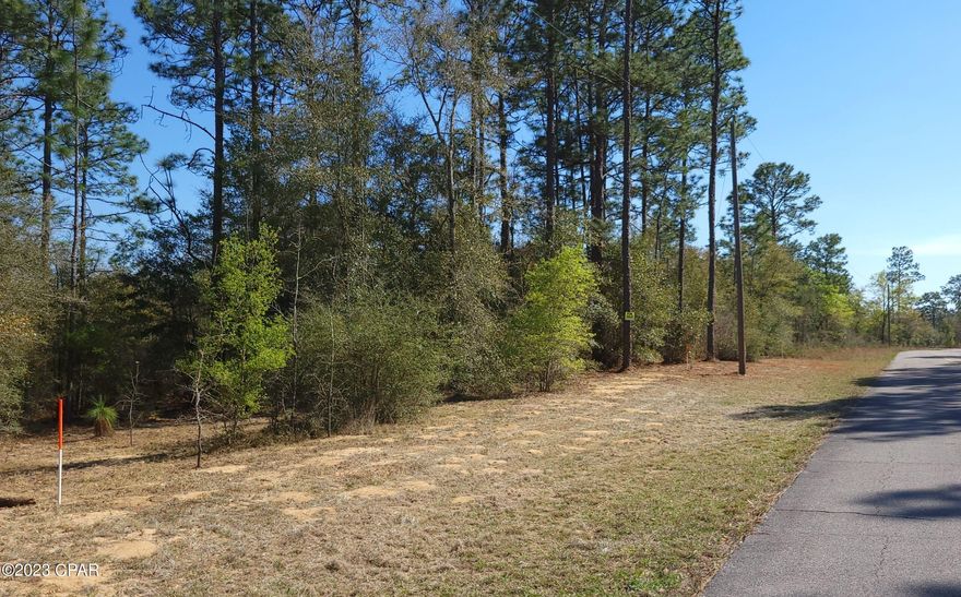 Located at the front of Sunny Hills development featuring a golf course and multiple boat ramps leading to gorgeous ponds. Partially cleared oversized lot with central power access located at the front of the property. The neighboring lot is also for sale. These two adjoining lots feature green-space to the north and east side of the property - this will keep any new neighbors at a distance. These lots have been lovingly cleared. Mowed paths will guide you along the property. The trees on property are Long Leaf Pines, Oaks, American & Yaupon Holly, Sparkleberry and Serviceberry. Feel free to walk the property and take a look!