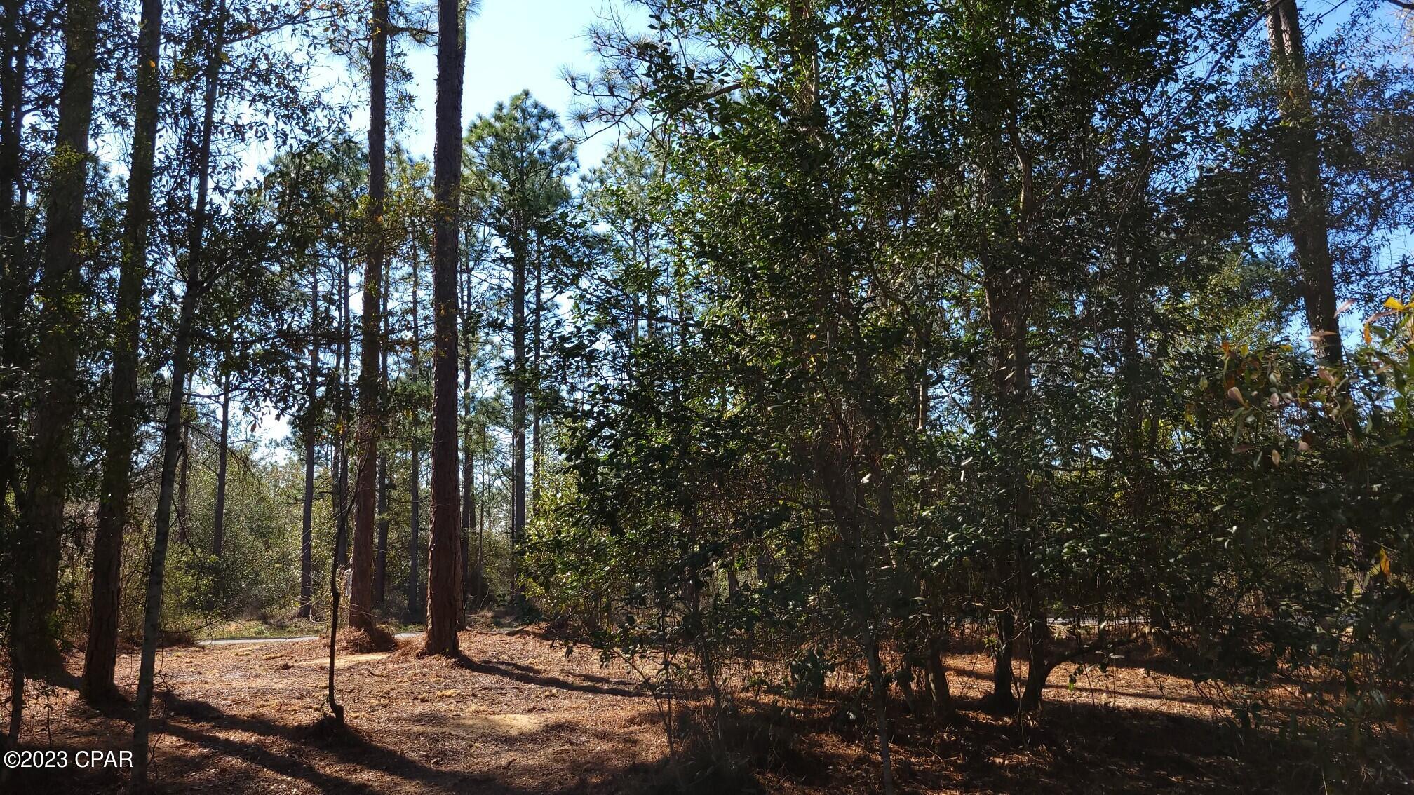 Sunny Hills Unit 1 - Land