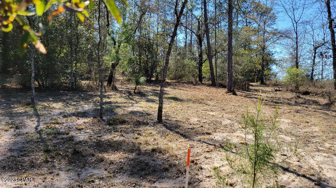 Sunny Hills Unit 1 - Land