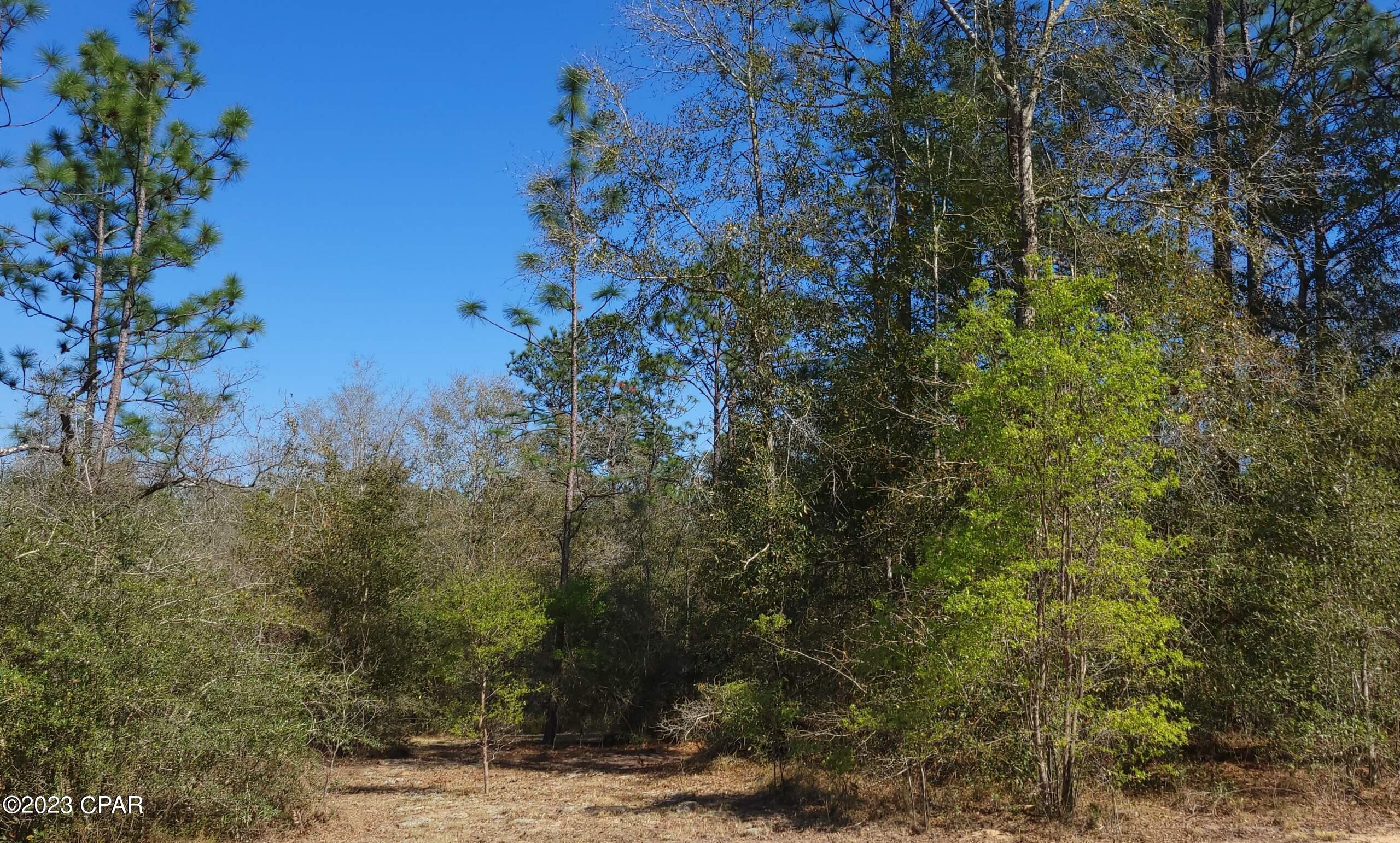 Sunny Hills Unit 1 - Land