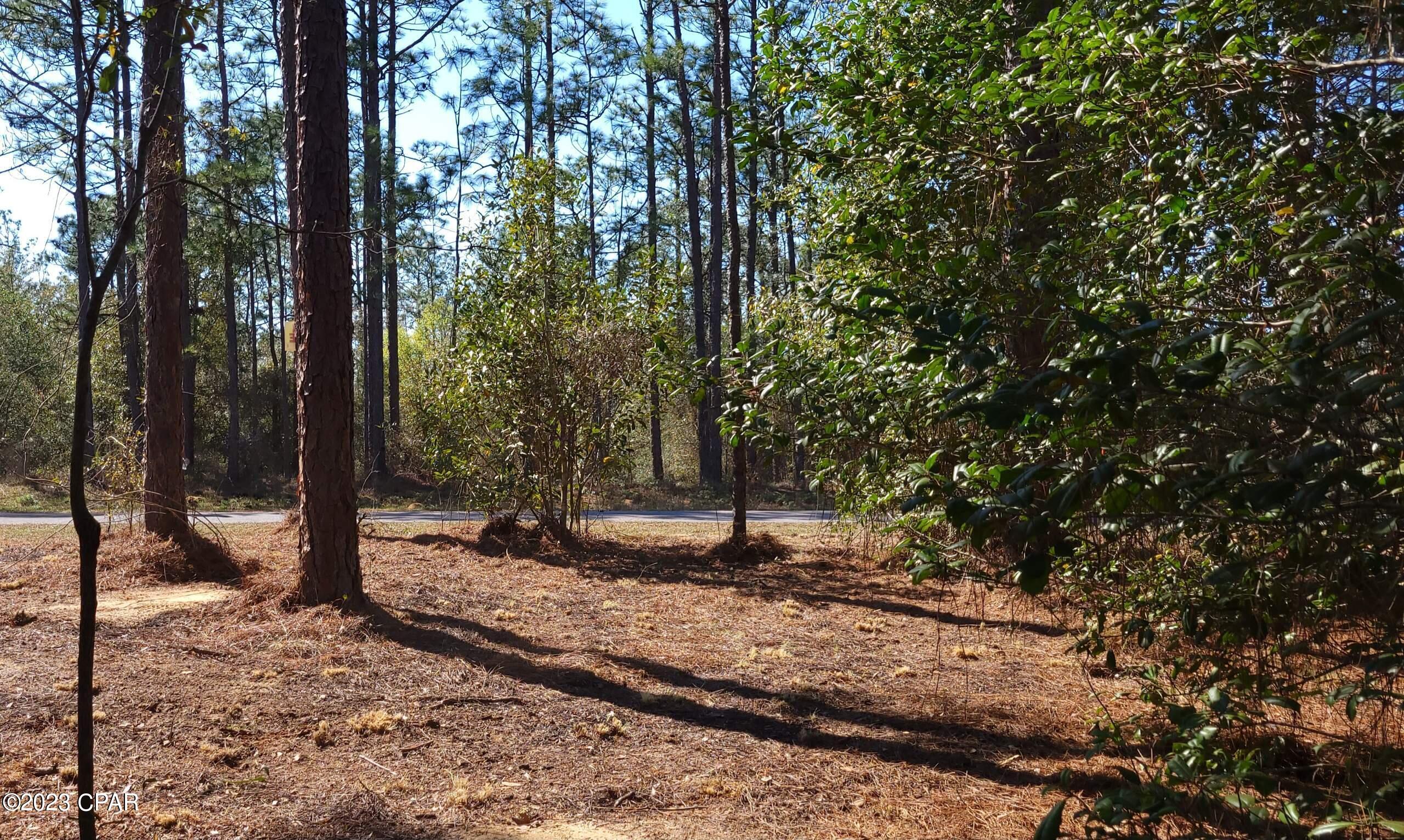 Sunny Hills Unit 1 - Land