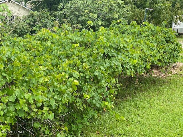 Tara Estates - Residential