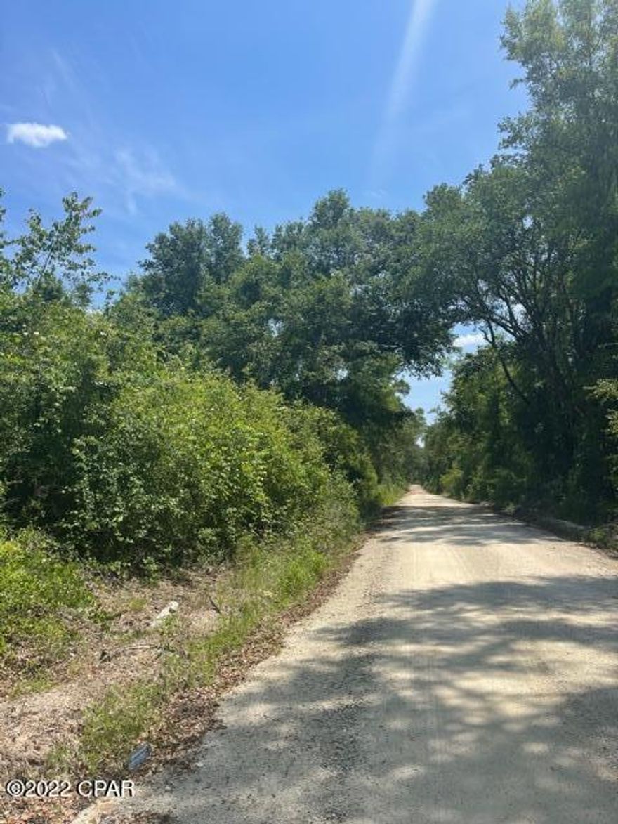 UNDER CONTRACT SELLER ACCEPTING BACKUP OFFERS Own a piece of Jackson County history! This alluring 38.5 acre tract is believed to have the family home of actress Faye Dunaway located on the property. The home is of no value, due to condition, however there is also believed to be a well on the property. Located off Fort Road (69), this well maintained dirt road was a breeze to drive down. Perfect for your future homesite or recreational property, as deer, quail and other wildlife were spotted while agent was exploring property. Seller has provided survey.