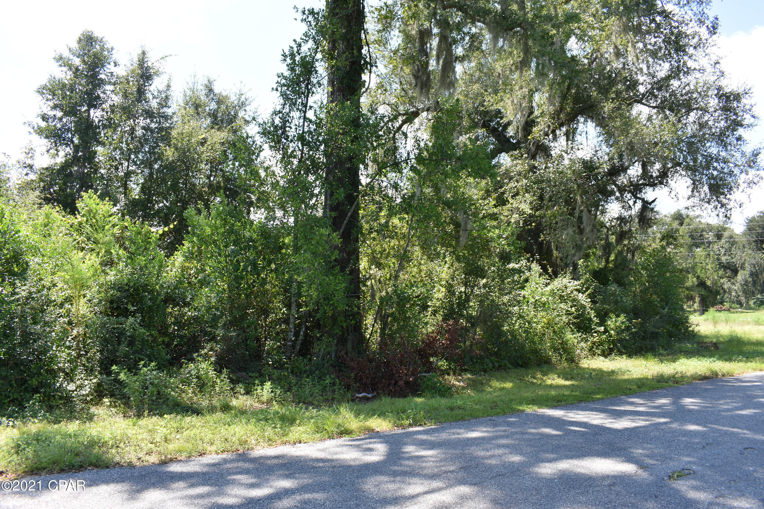 Greenwood Heights - Land