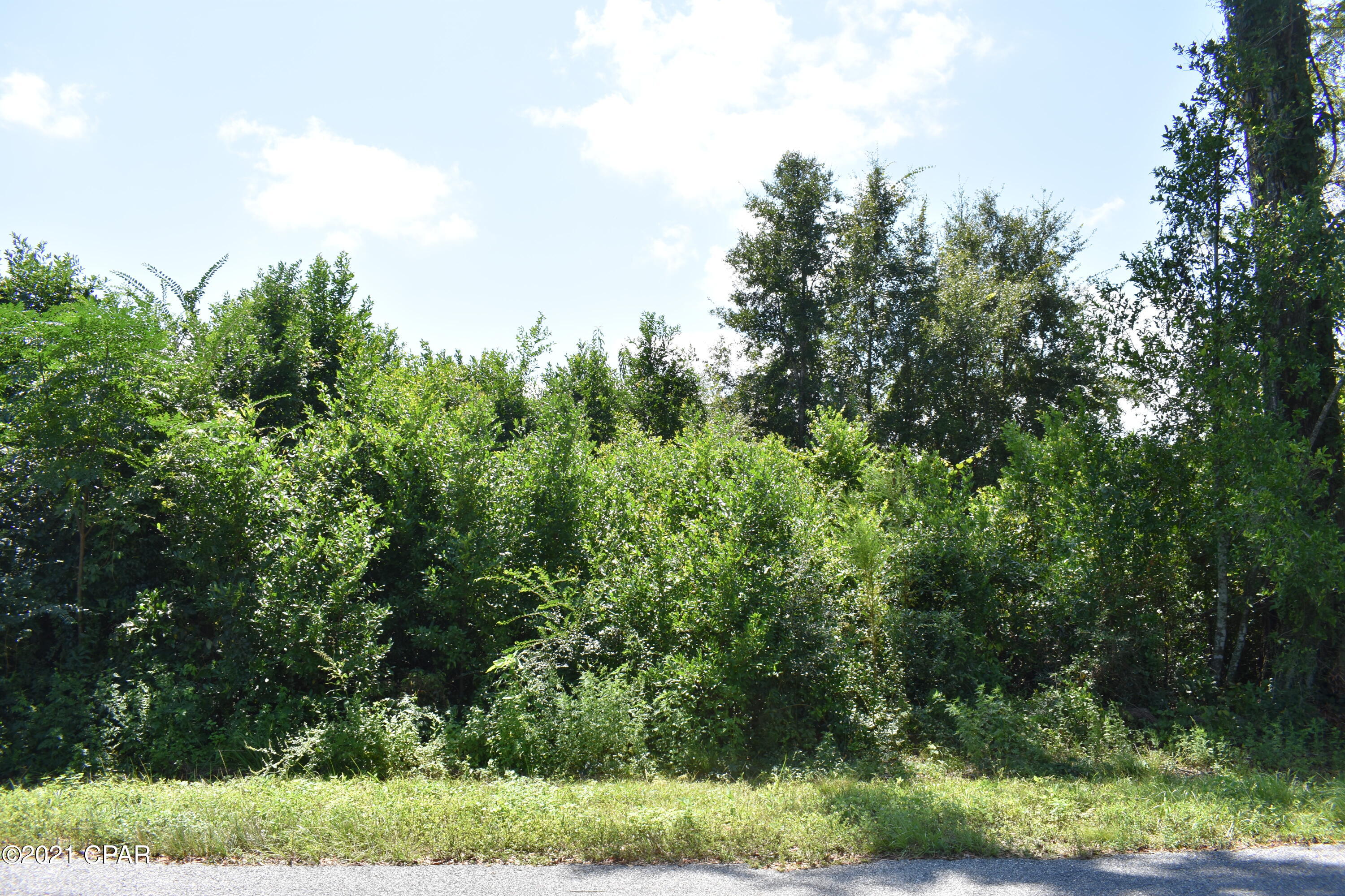 Greenwood Heights - Land