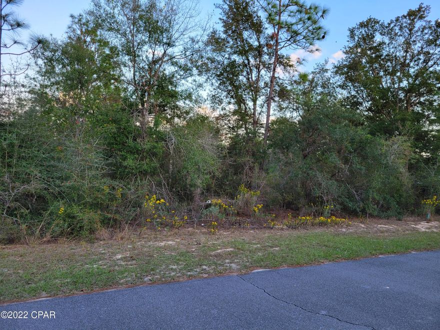 CURRENTLY UNDER CONTRACT, SELLER WILL CONSIDER BACKUP OFFERS Vacant land in Pine Ridge subdivision.