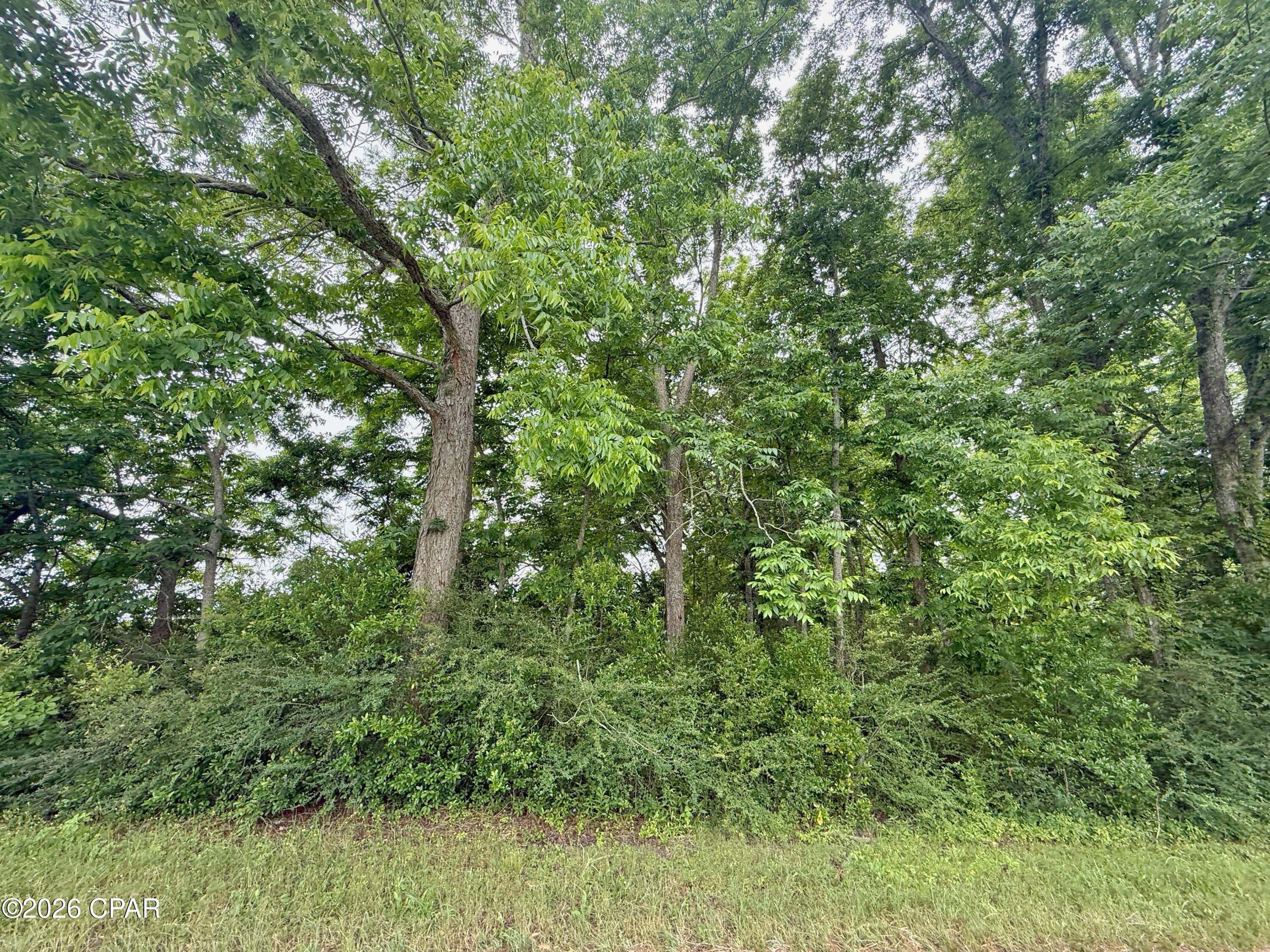 [No Recorded Subdiv] - Land