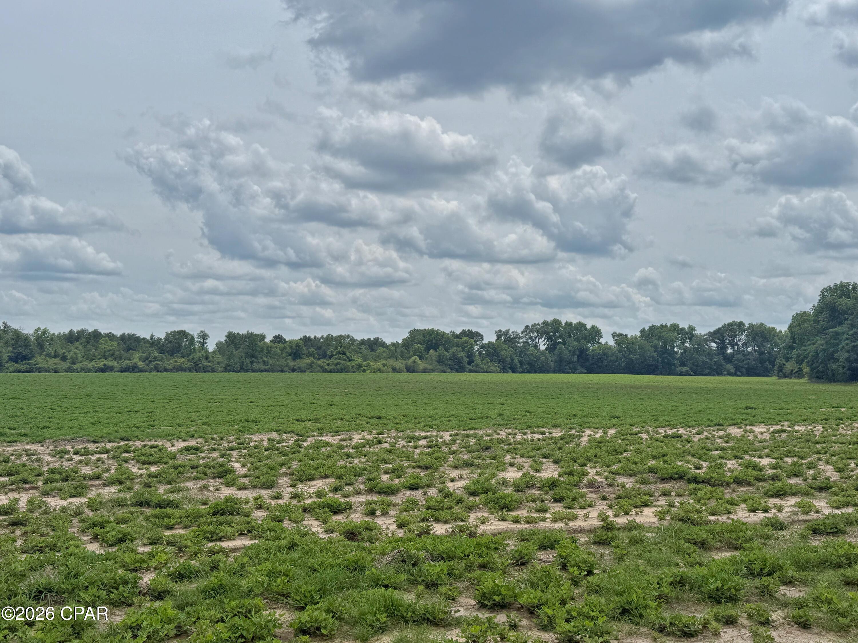 [No Recorded Subdiv] - Land