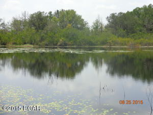 Wages Pond - Residential