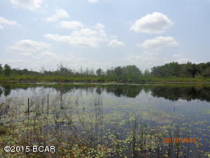 Wages Pond - Residential