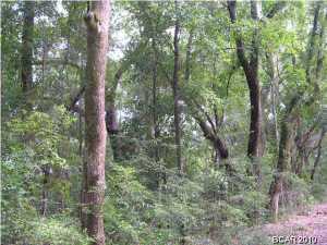 Wages Pond - Residential