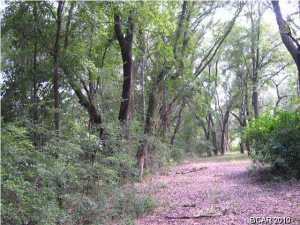 Wages Pond - Residential