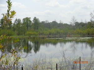 Wages Pond - Residential