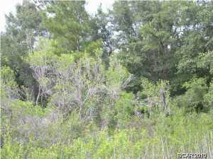 Wages Pond - Residential