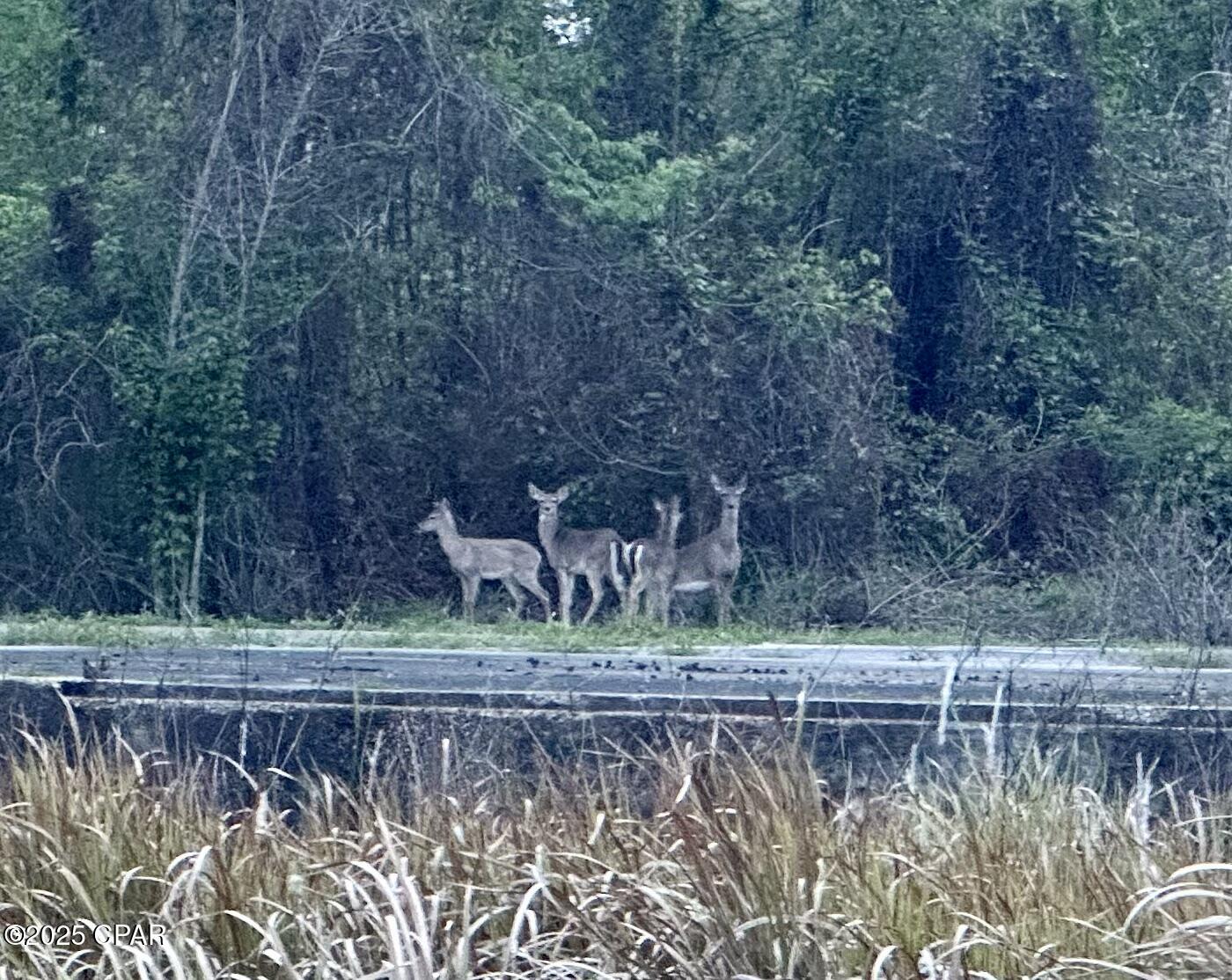 No Named Subdivision - Land