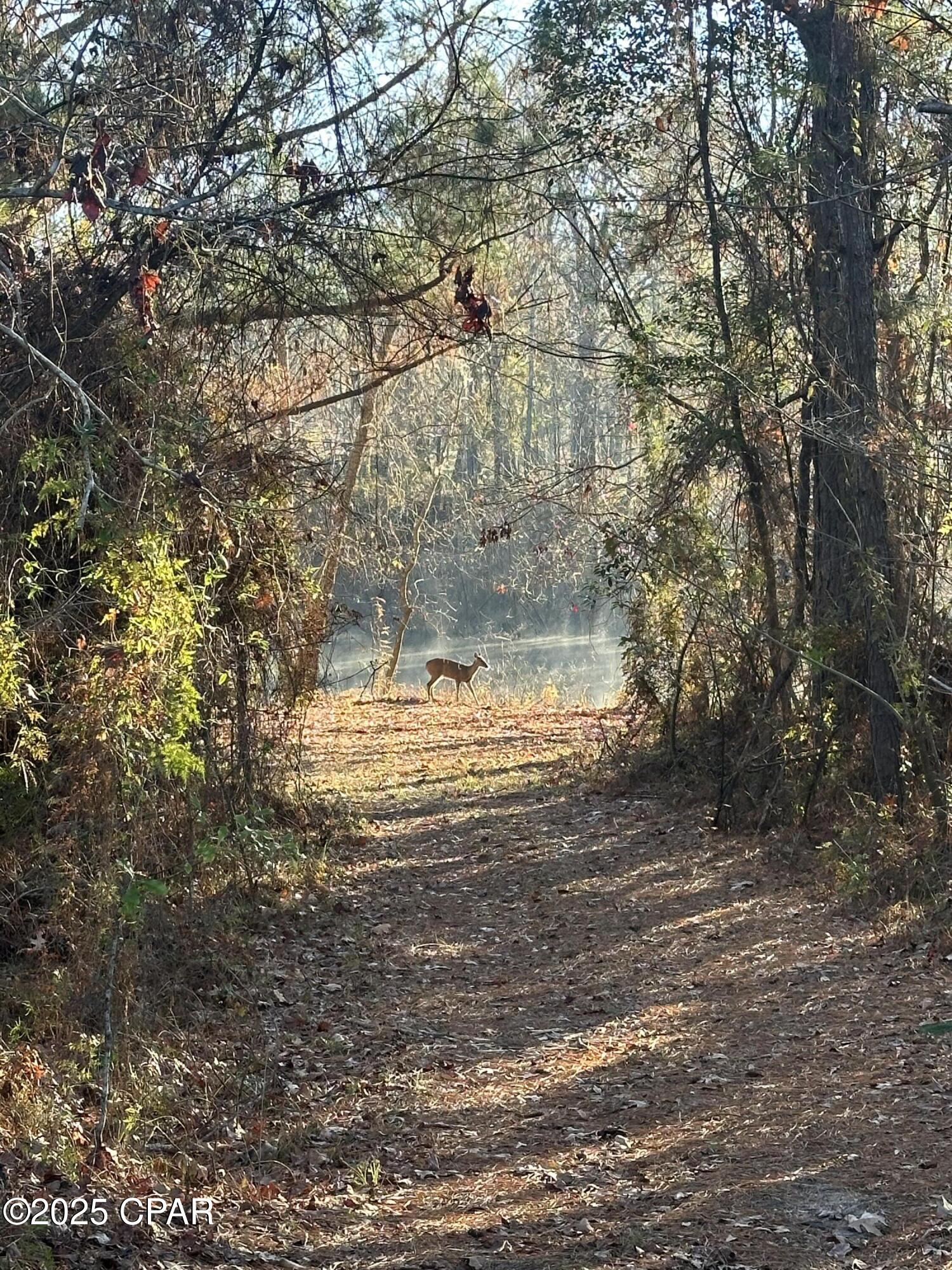 No Named Subdivision - Land