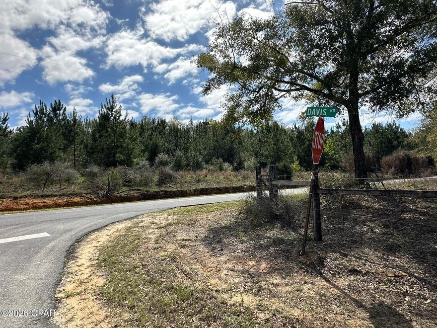 Dream Location for Country Living or Hunters Paradise either way you won't want to miss this opportunity! Beautiful homesite, Paved road close to I-10. This Beautiful 28.72+/- Acres of prime land has so much to offer, Power is available. Creek running through portion of this parcel. Bring your build plans, hunting gear, Horses and ATVS LOCATION LOCATION!!!! This Property has Easy Access to Panama City Beaches I-10, Hwy 79, Hwy 81, and Hwy 90