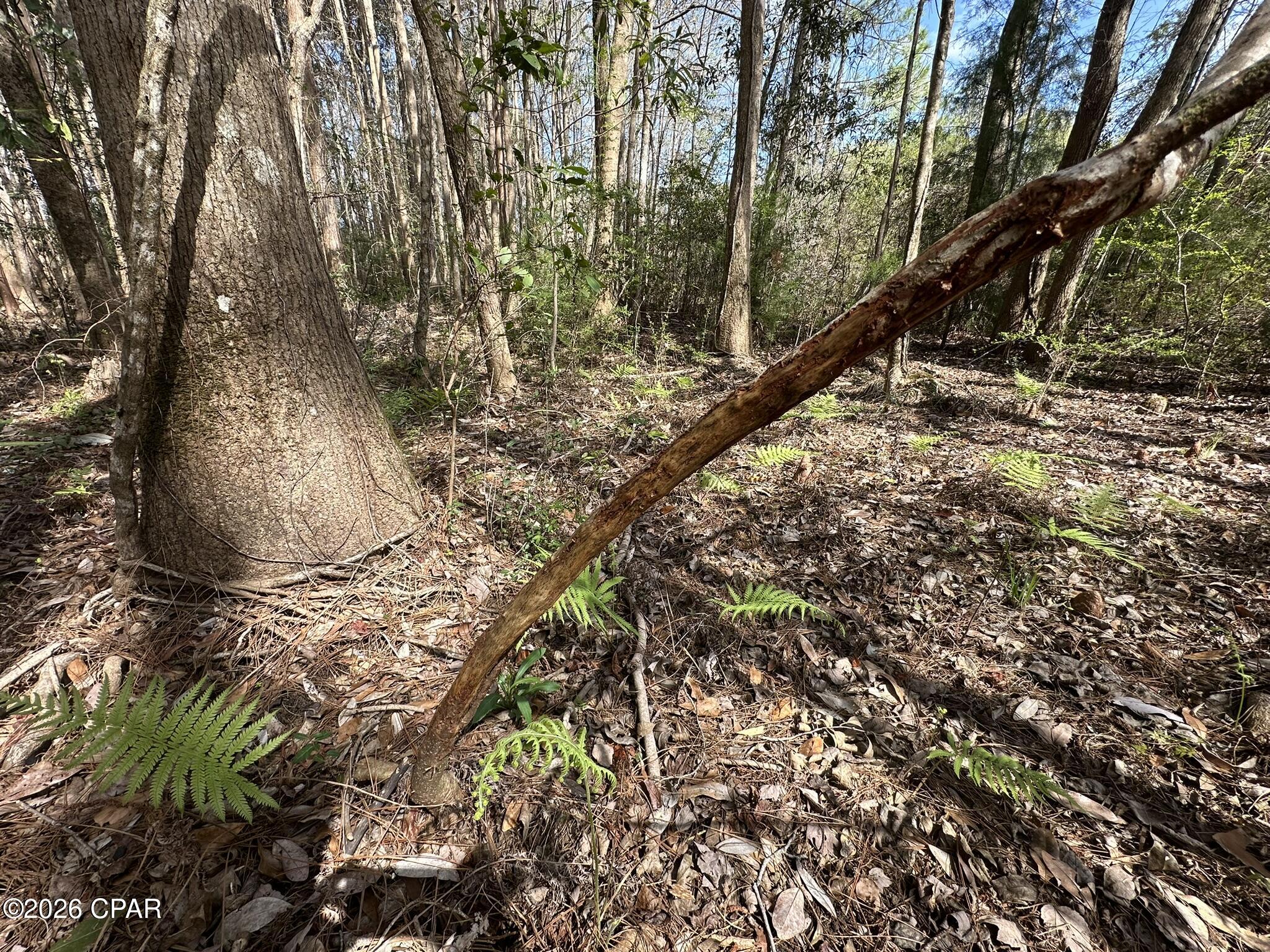 No Named Subdivision - Land