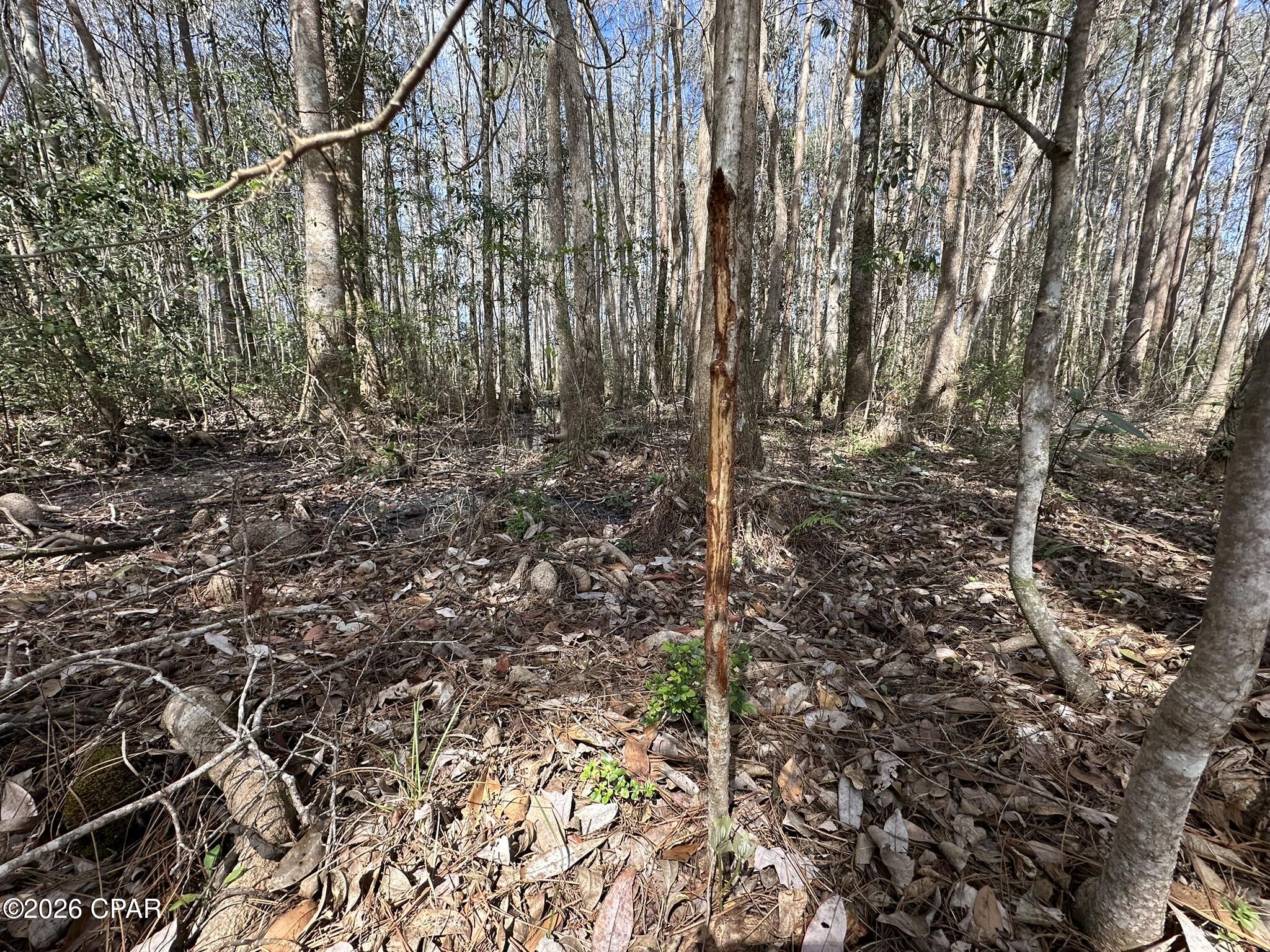 No Named Subdivision - Land