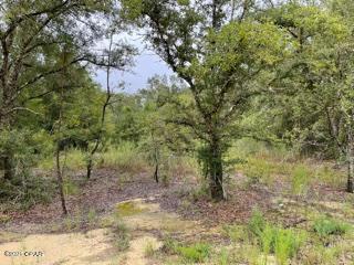 Compass Lake Hills Unit 1 - Land