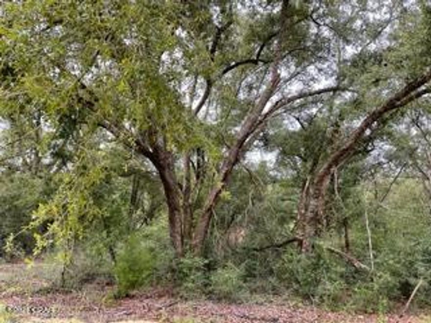 Beautiful wooded lot just right for your forever home.   Lot has lots of nice oaks and appears to be a level lot.  Enjoy the beauty of this nice area when you can enjoy the peace and quiet of country living.   Easy access to the south to Panama City on the coast and north to Marianna for shopping.