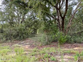 Compass Lake Hills Unit 1 - Land