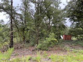 Compass Lake Hills Unit 1 - Land