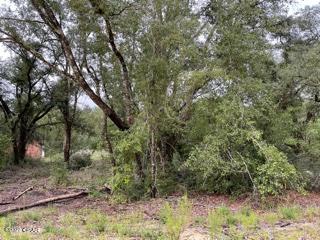 Compass Lake Hills Unit 1 - Land