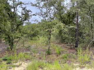 Compass Lake Hills Unit 1 - Land