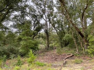 Compass Lake Hills Unit 1 - Land