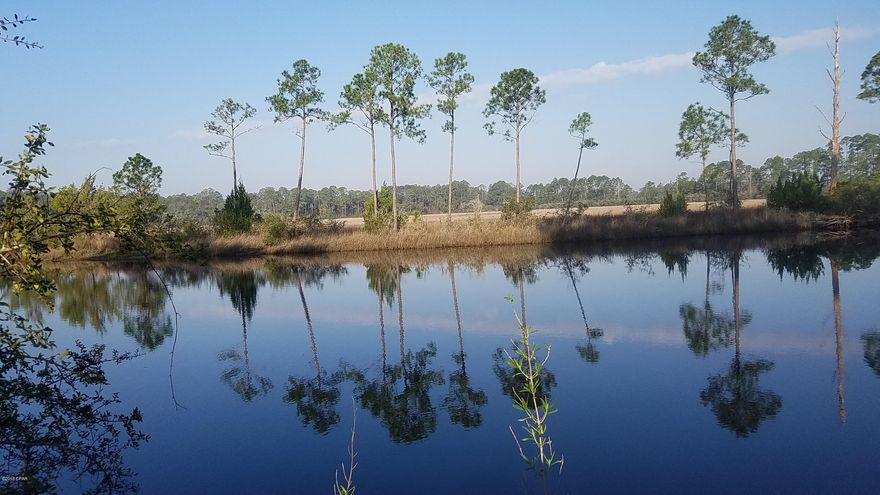 2 ACRES OF PRIME WATER FRONT PROPERTY WITH GULF ACCESS ON BURNTMILL CREEK. VERY SHORT DISTANCE FROM THE WORLDS MOST BEAUTIFUL BEACHES. ONLY A FEW MILES FROM THE AIRPORT. WITHIN 15 MINUTE DRIVE FROM TOWN. ENJOY THE PEACE AND QUIET OF THE COUNTRY LIFE STYLE WITHOUT THE LONG DISTANCE FROM TOWN